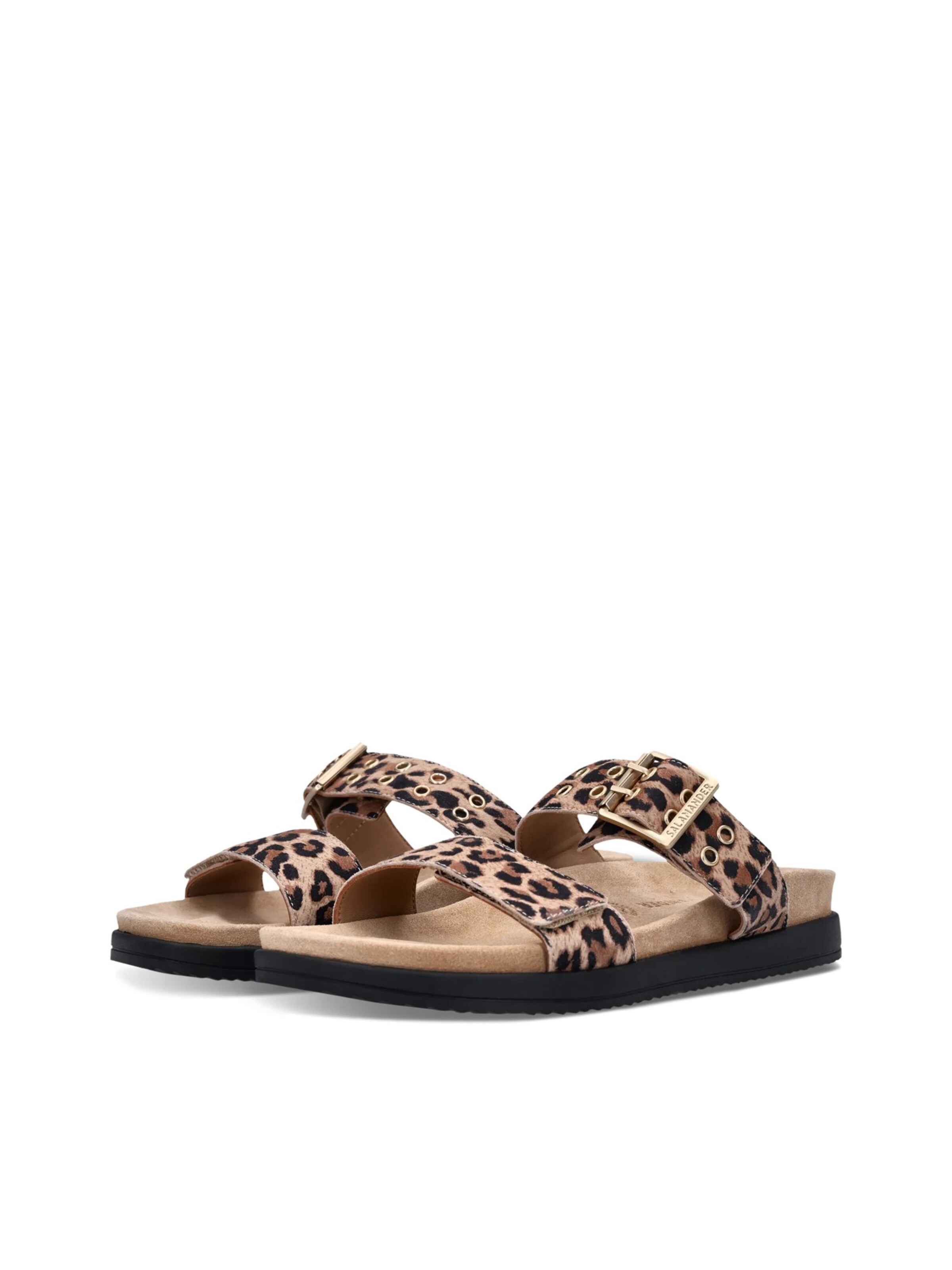 SALAMANDER Mules in Brown