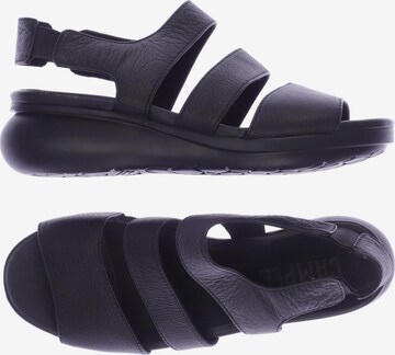 CAMPER Sandals & High-Heeled Sandals in 37 in Black: front