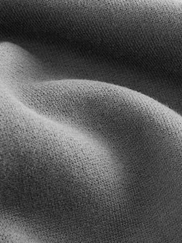 smALLSAINTS Sweatshirt 'Dana' i grå