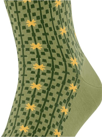FALKE Socks 'Sun Touch' in Green