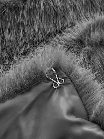 Next - Chaqueta de entretiempo en gris