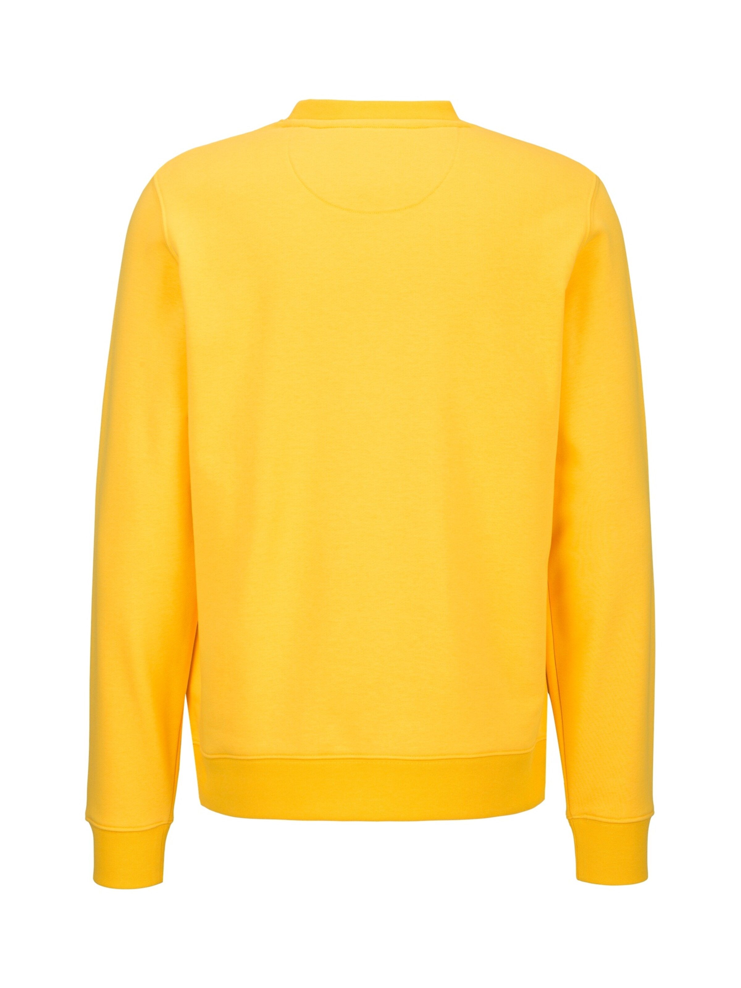 19V69 ITALIA Sweatshirt 'Nico' in Geel