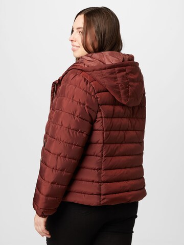 ABOUT YOU Curvy Jacke 'Christine' in Braun