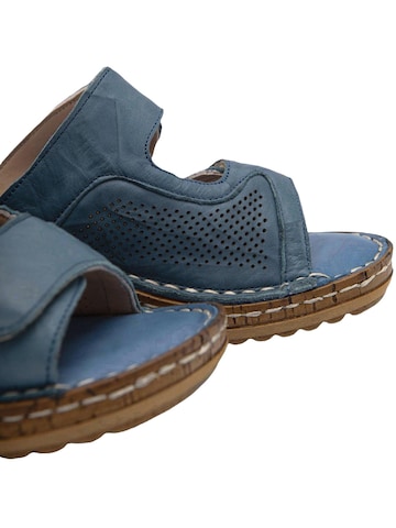 Limoya Muiltjes 'Aditi' in Blauw