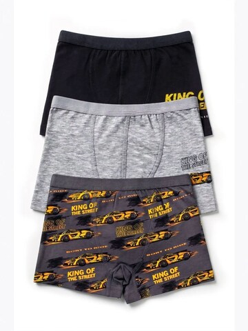 ÖTSGaće 'ÖTS Herren Boxerbriefs' - miks boja boja: prednji dio