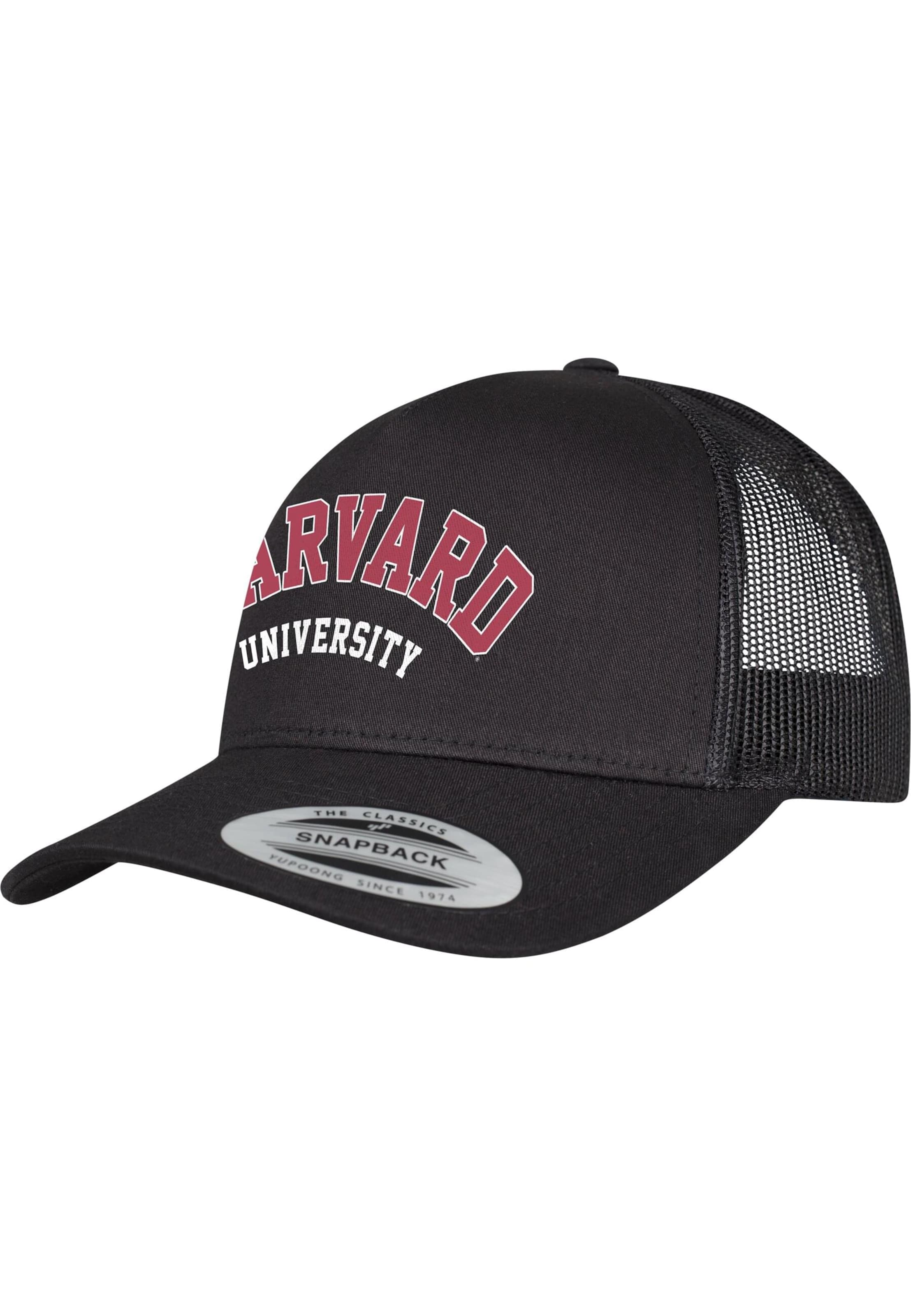 Merchcode Pet 'Harvard University' in Zwart: voorkant