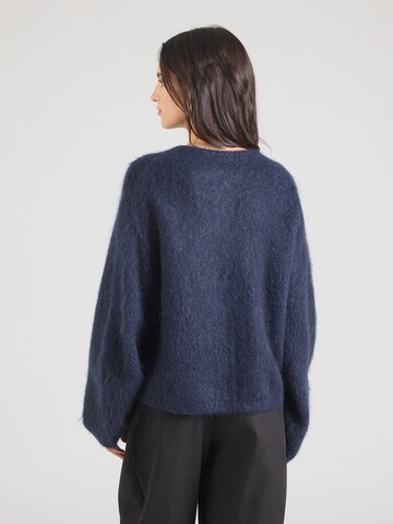 Cardigan & Other Stories en bleu
