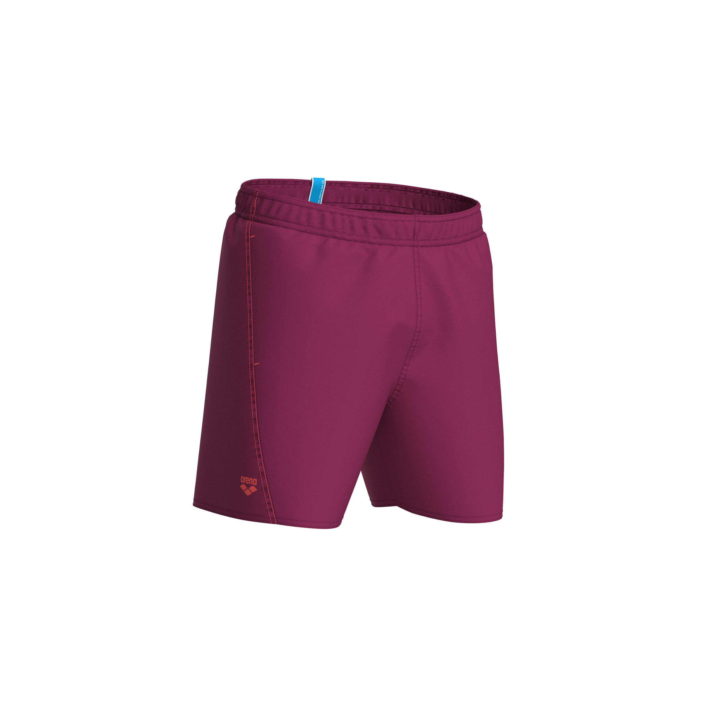 ARENA Swimming Trunks in Purple