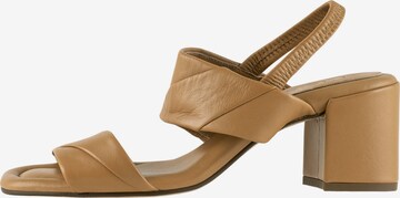 Högl Sandalen met riem 'BELLA' in Bruin: voorkant