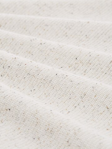TOM TAILOR DENIM Trui in Beige
