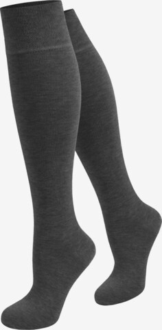 Chaussettes montantes normani en gris : devant