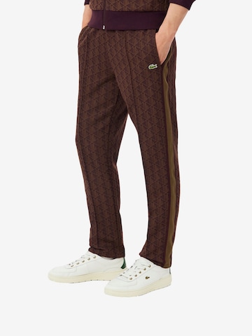 regular Pantaloni di LACOSTE in marrone: frontale