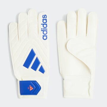 ADIDAS PERFORMANCE Athletic Gloves in White