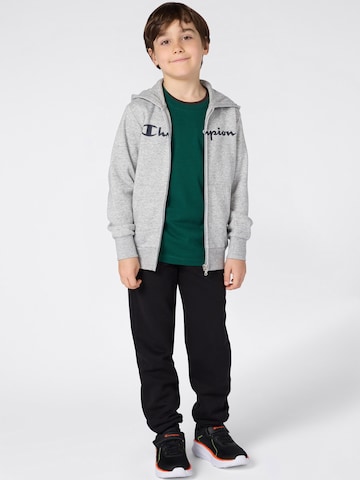 Champion Authentic Athletic Apparel Mikina – šedá