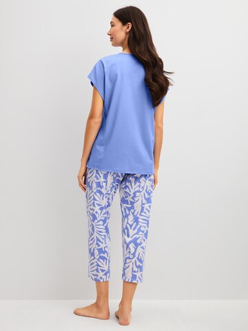 CALIDA Pyjama 'Cotton Special'‌‌‌‌‌ in Blau