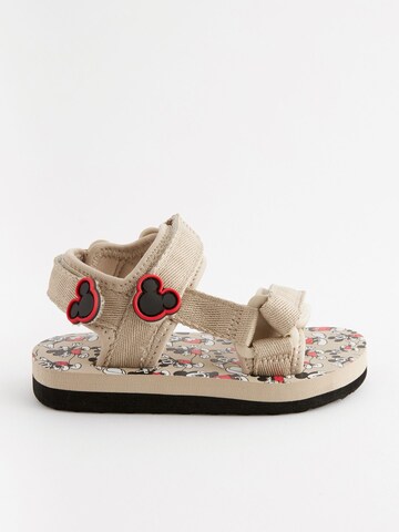 Next - Zapatos abiertos en beige