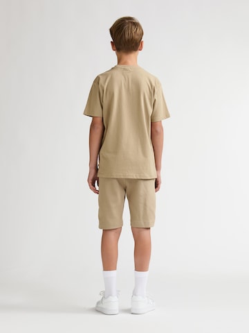 Petrol Industries Regular Trousers in Brown