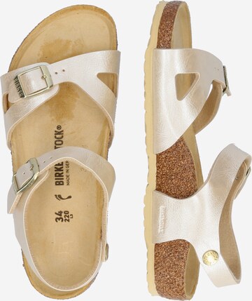 BIRKENSTOCK Open schoenen 'Rio' in Beige