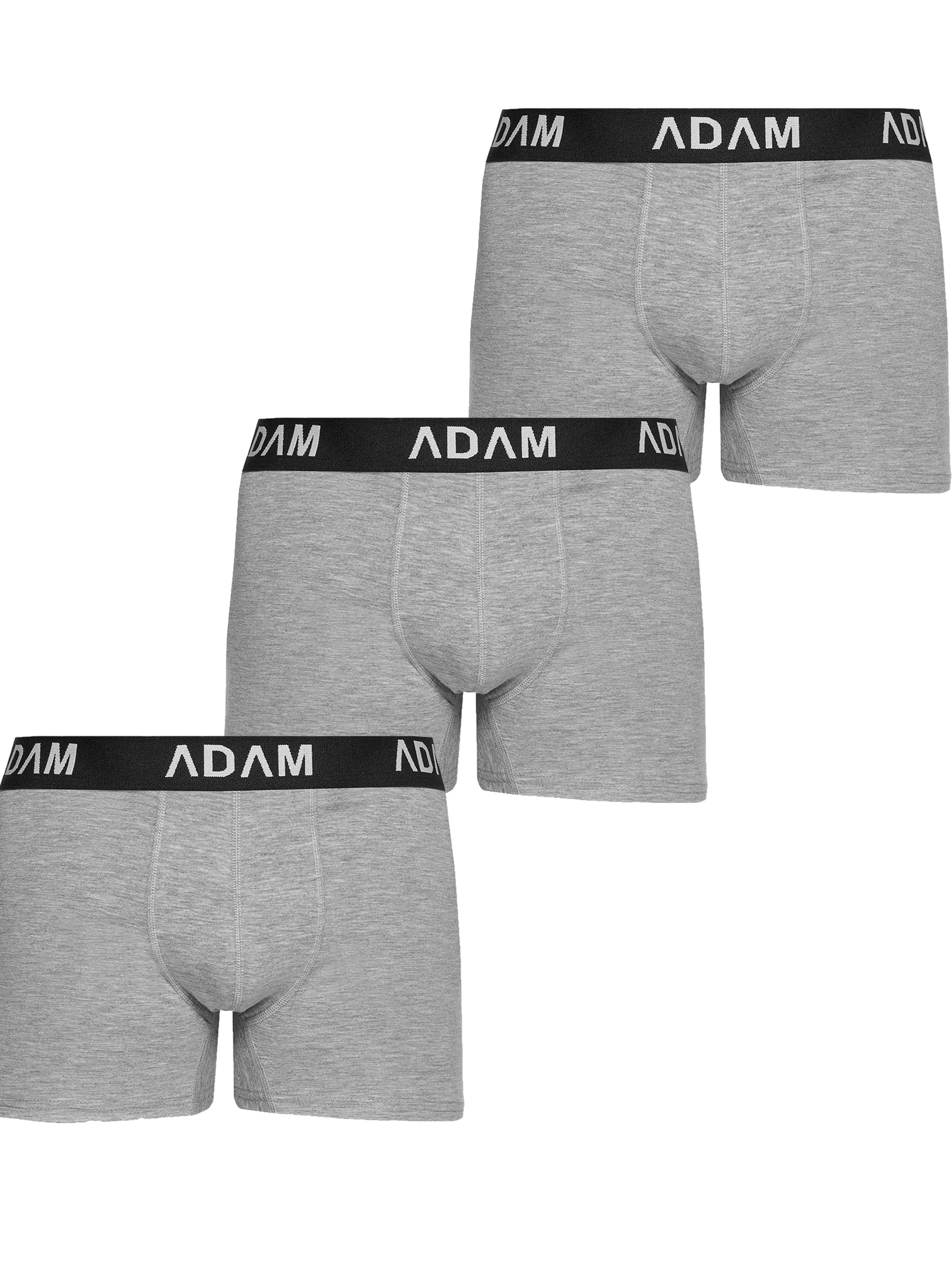 Adam Boxershorts '3er Pack'‌ in Grau: Vorderseite
