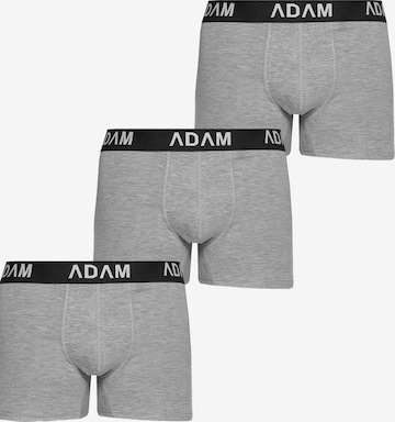 Adam Boxershorts '3er Pack' in Grau: Vorderseite
