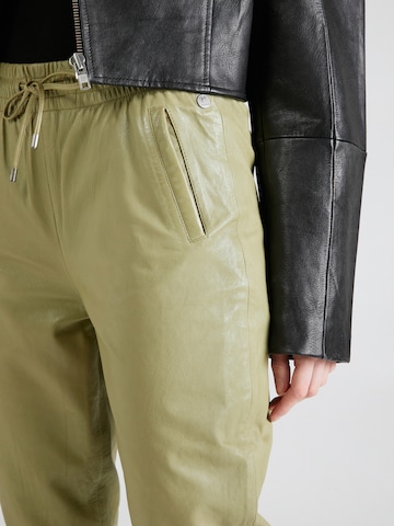 Gipsy Tapered Broek 'Tariza' in Groen