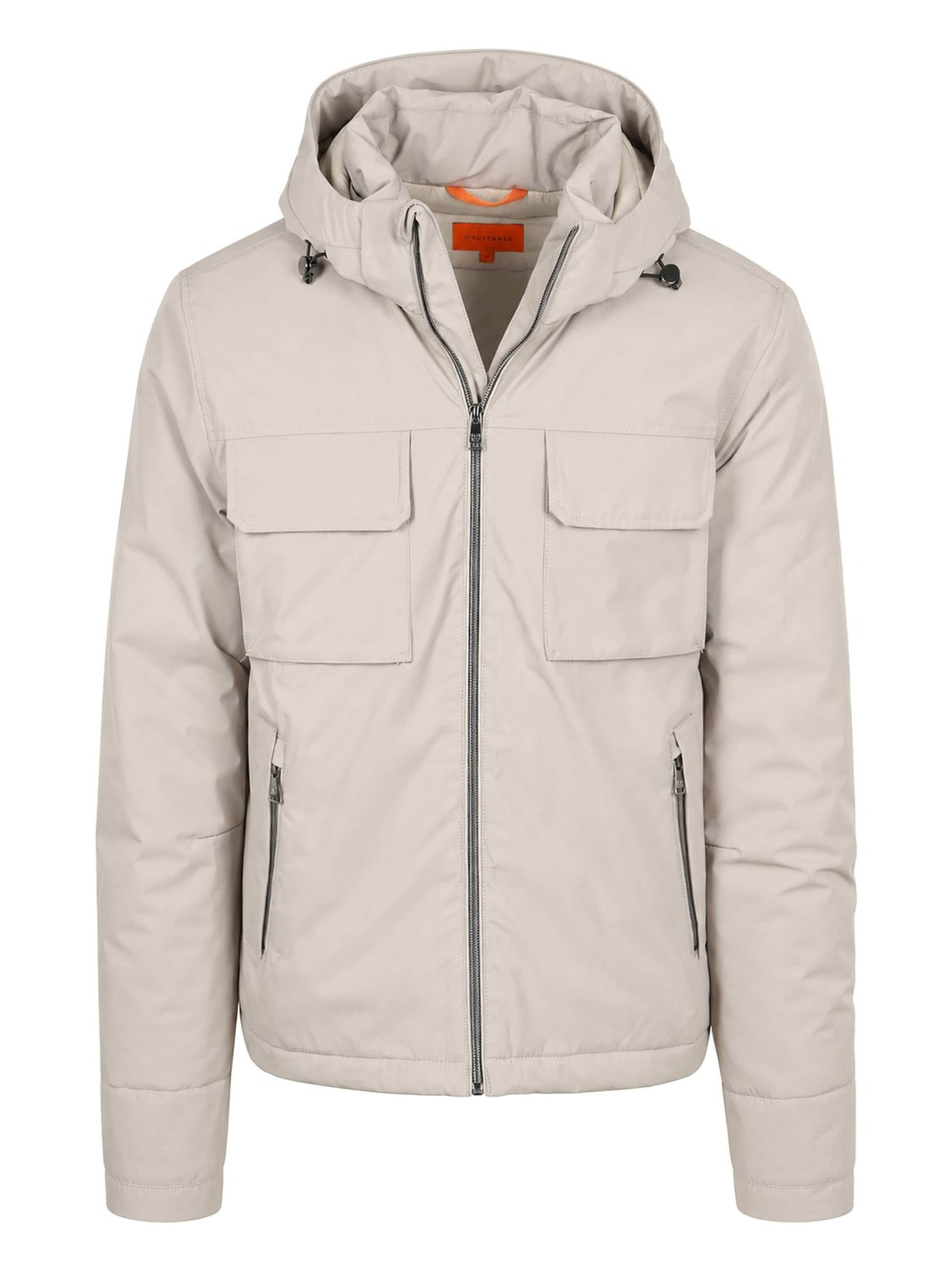Manteau d’hiver 'Copenhagen' Suitable en gris : devant