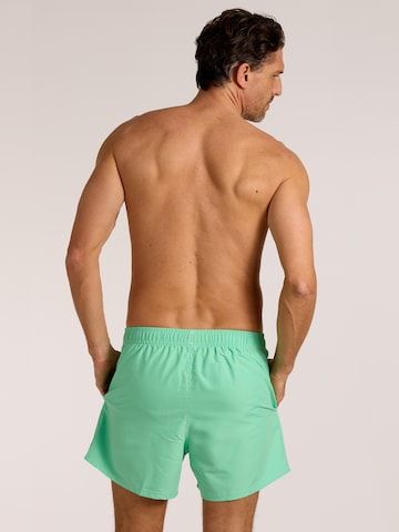 wavebreaker Board Shorts in Green