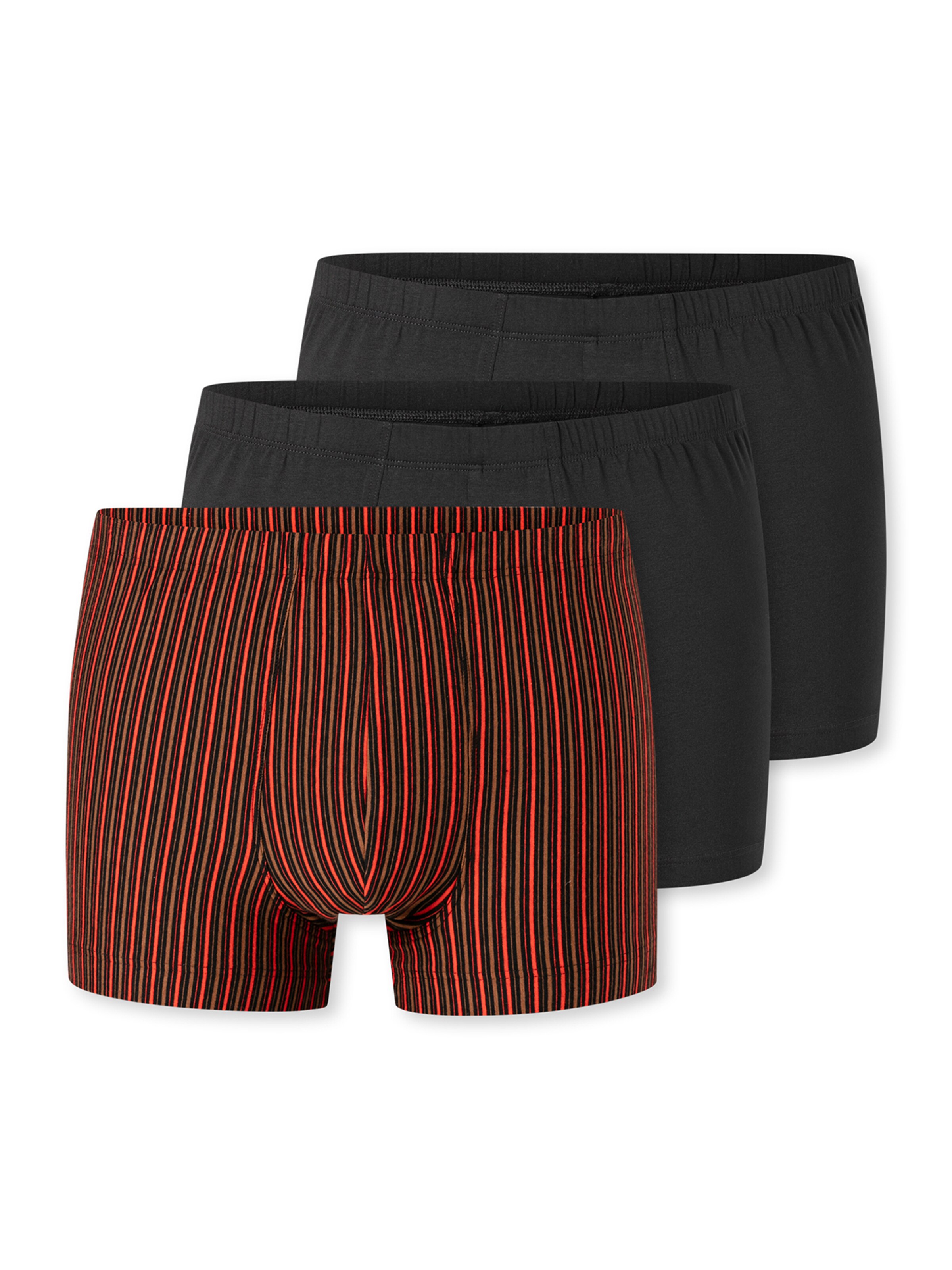 SCHIESSER Trunk ' 955 Essentials ' in Grau: Vorderseite