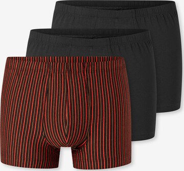 SCHIESSER Trunk ' 955 Essentials ' in Grau: Vorderseite