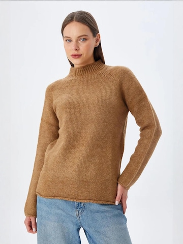 MixRay Pullover in Braun