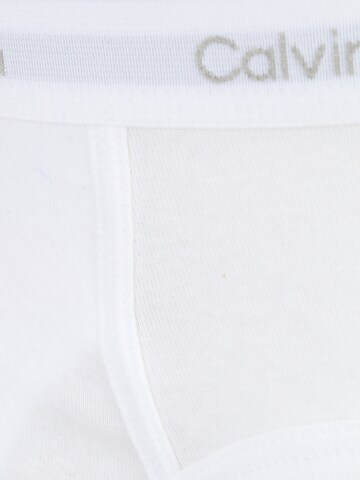 Calvin Klein Underwear Slip in Grau