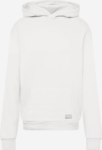 HOLLISTER Sweatshirt in Grau: predná strana