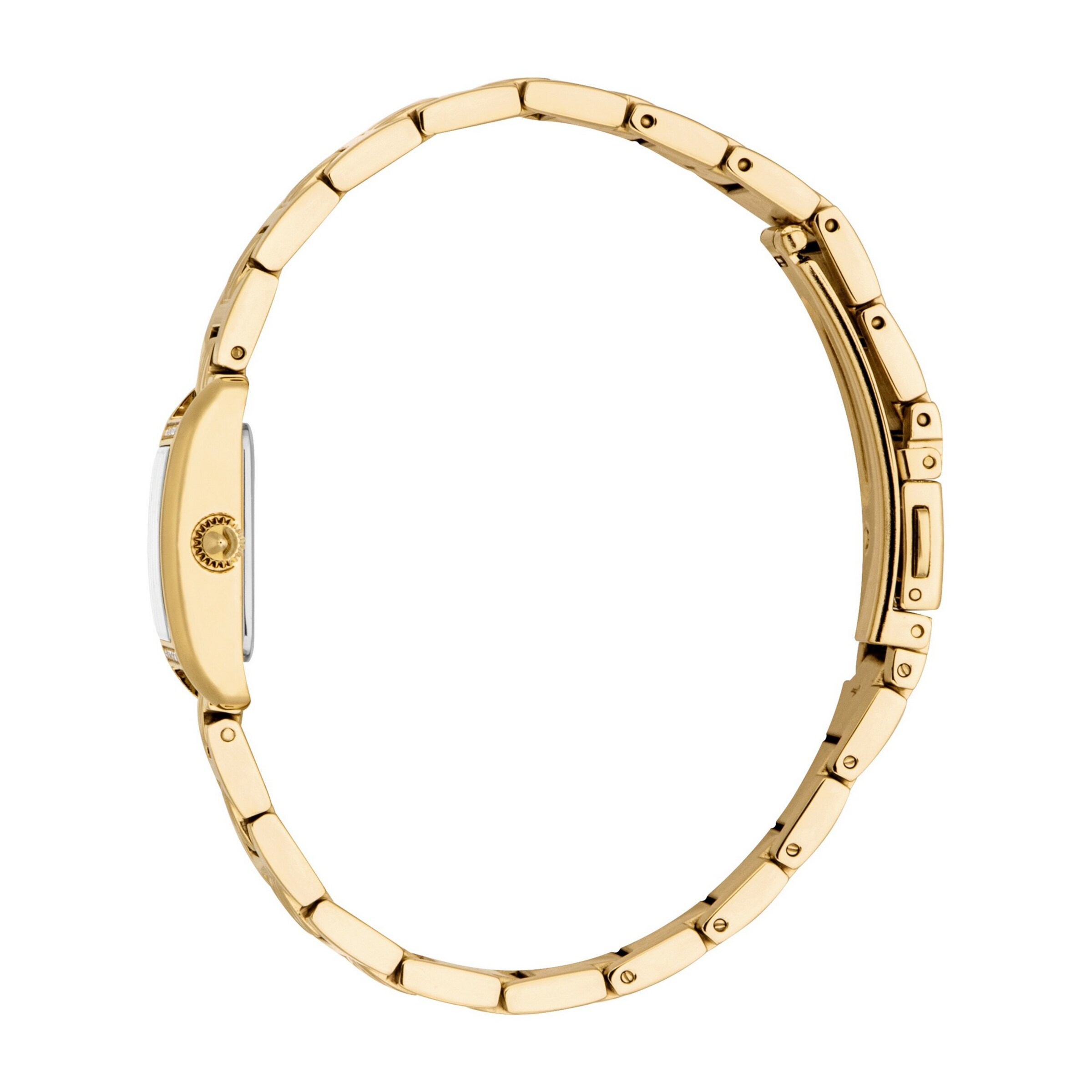 Just Cavalli Time Analog Watch in Gold