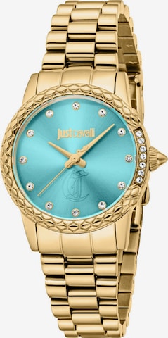 Just Cavalli Time Analoguhr in Gold: Vorderseite