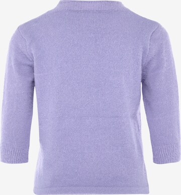 Poomi Sweater in Purple
