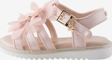 Baker by Ted Baker Sandalen in Roze: voorkant