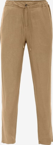 Antioch Regular Housut värissä ruskea: etupuoli