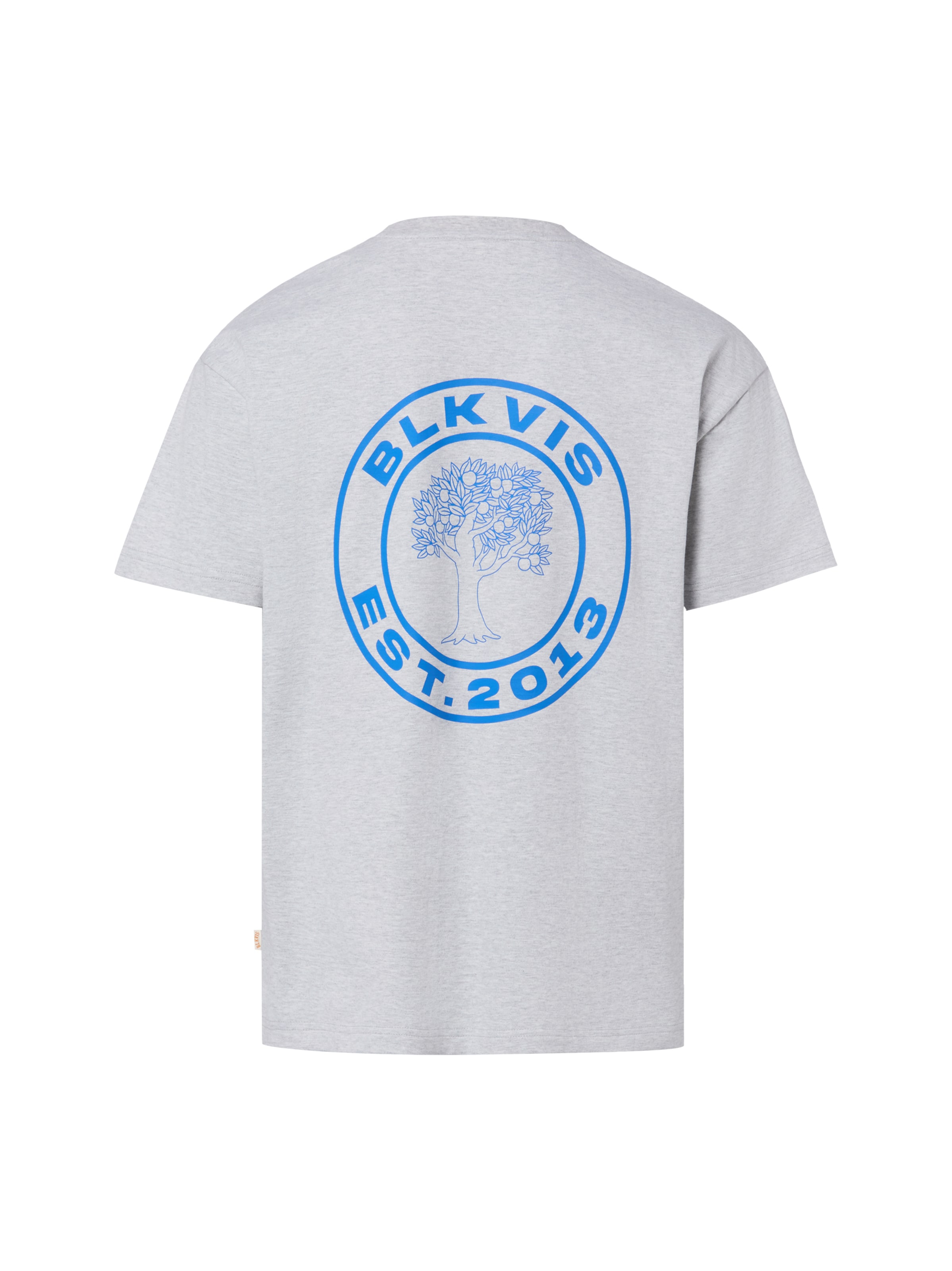 T-Shirt 'Source' BLKVIS en gris