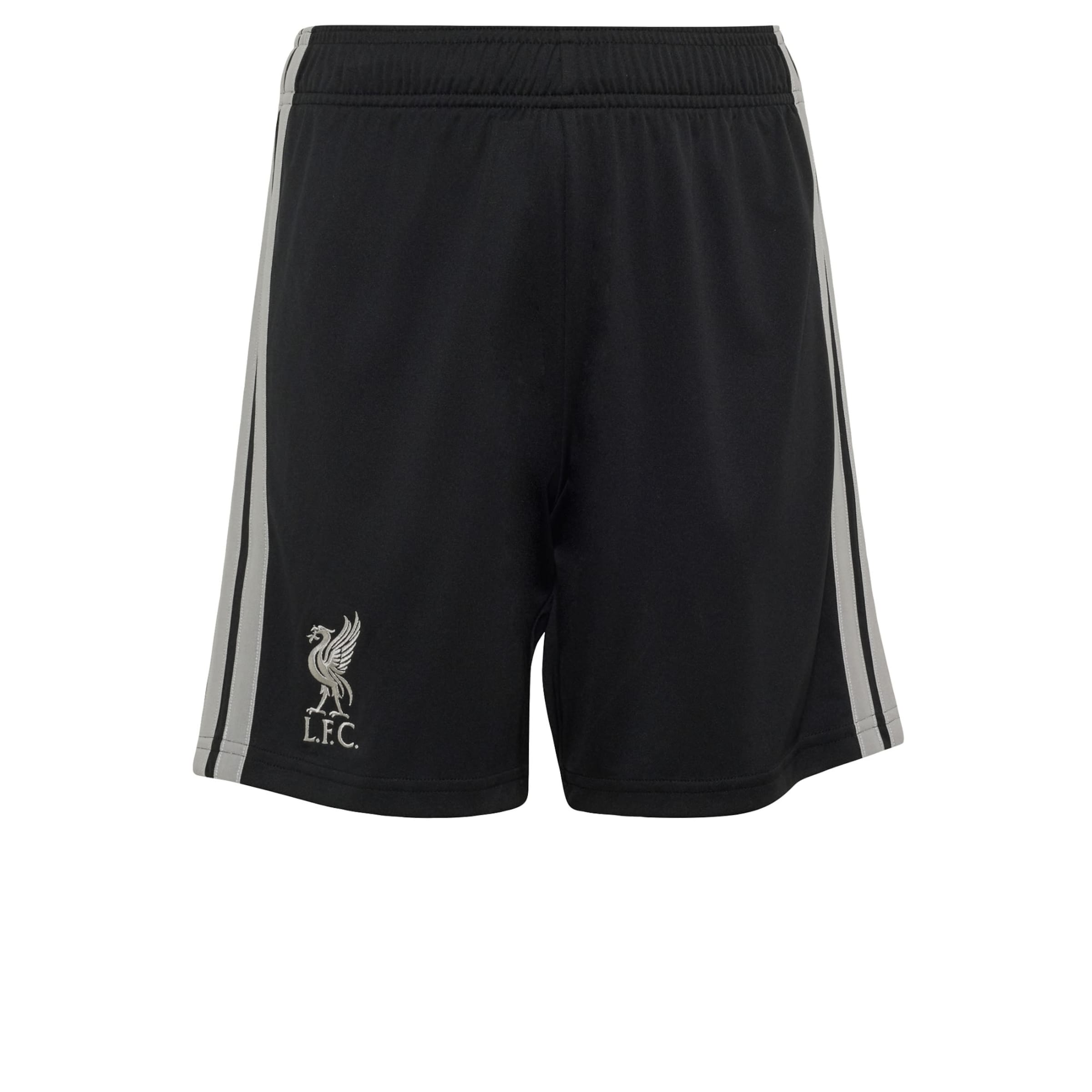 ADIDAS PERFORMANCE Normální Sportovní kalhoty 'FC Liverpool 26/27' – černá