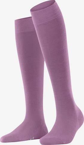 FALKE Kniestrümpfe 'Softmerino' in Pink: Vorderseite