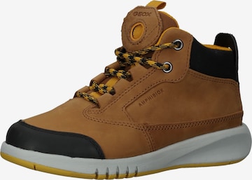 GEOX Boots in Brown: front