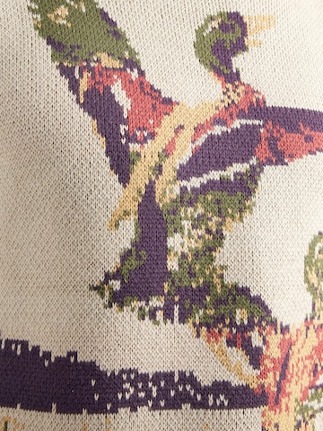 Pull-over 'DUCK' Abercrombie & Fitch en gris