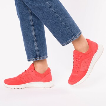 ECCO Sneakers laag 'Exostride' in Rood
