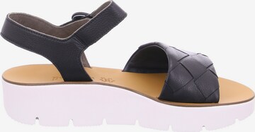 Paul Green Strap Sandals in Black