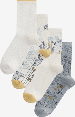 Next Socken in Grau: Vorderseite