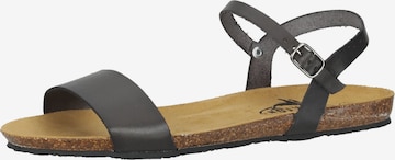 Plakton Strap Sandals in Grey: front