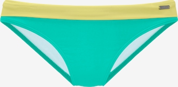 VENICE BEACH Bikini Bottoms in Green: front