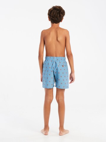 PROTEST Badeshorts 'PRTSteven JR' in Blau