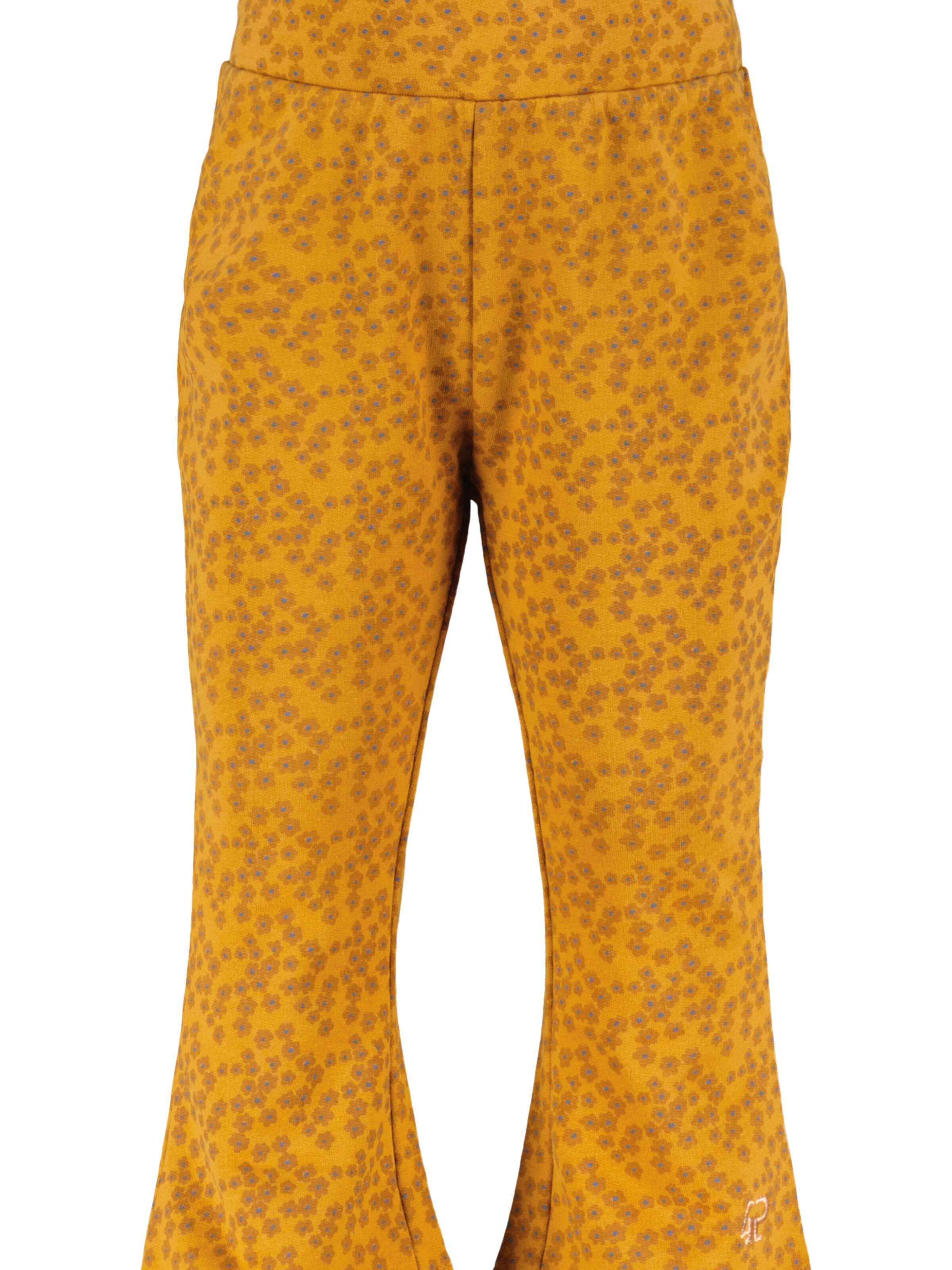 4PRESIDENT Flared Hose 'Klara'‌‌‌ in Gelb: Vorderseite