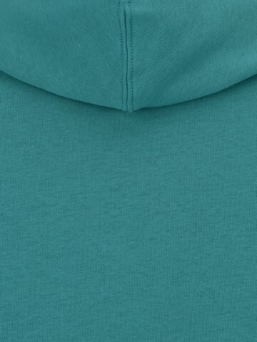 Levi's® Big & Tall Sweatshirt 'Graphic Hoodie' in Green